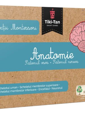Lecții Montessori - Anatomie: Sistemul osos • Sistemul nervos
