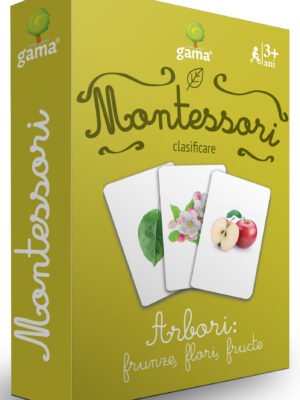 Arbori: frunze, flori, fructe