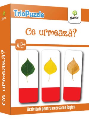 Ce urmează?