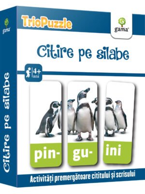 Citire pe silabe