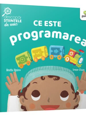 Ce este programarea