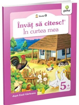 În curtea mea