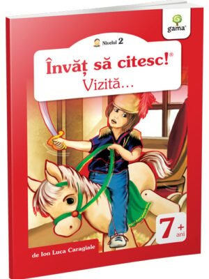 Vizită