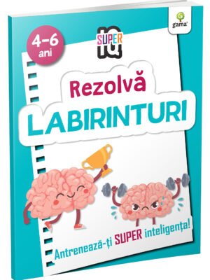 Rezolvă labirinturi