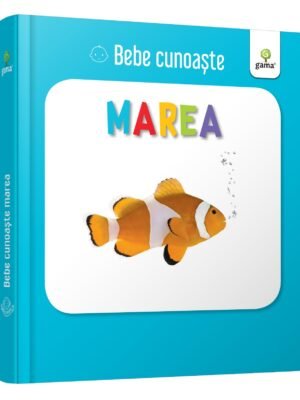 Marea