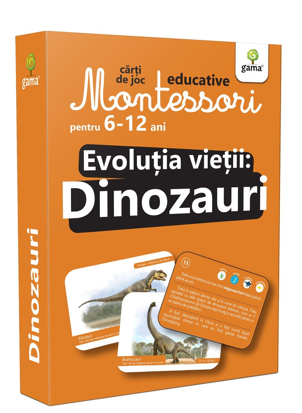 cutie-dinozauri Evoluția vieții: Dinozauri