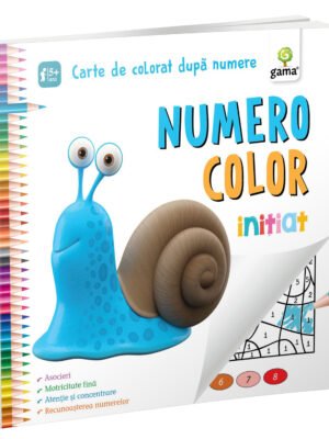 NumeroColor • Iniţiat