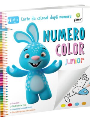 NumeroColor • Junior