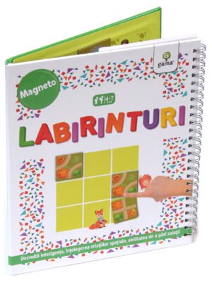 Labirinturi