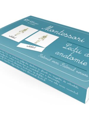 Lecţii de anatomie: Sistemul osos. Sistemul nervos