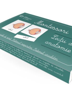 Lecţii de anatomie: Organe de simţ. Sistemul respirator. Sistemul circulator