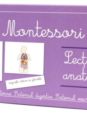 Lecţii de anatomie: Organe interne. Sistemul digestiv