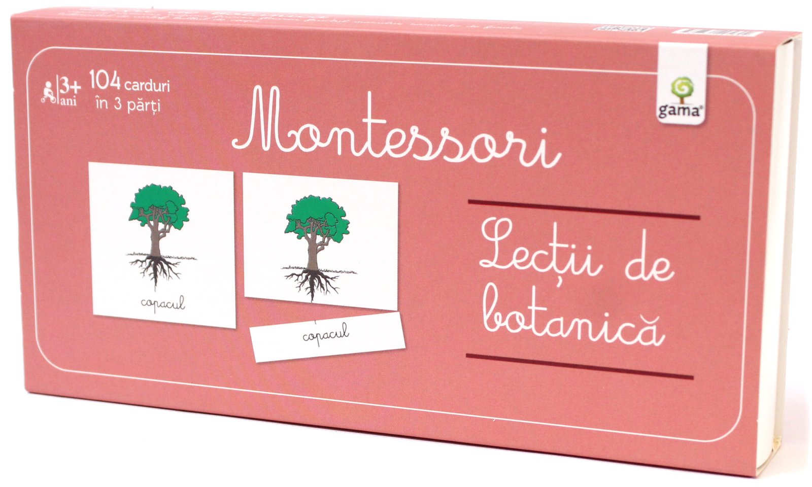 lectii_de_botanica_-_cutie Lecţii de botanică