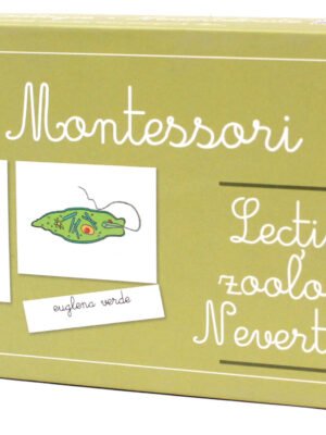 Lecţii de zoologie: Nevertebrate