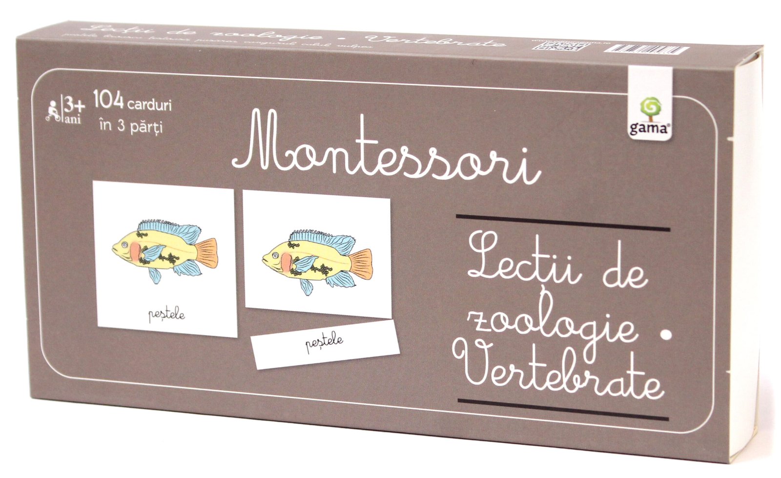 lectii_de_zoologie_-_vertebrate_-_cutie Lecţii de zoologie: Vertebrate