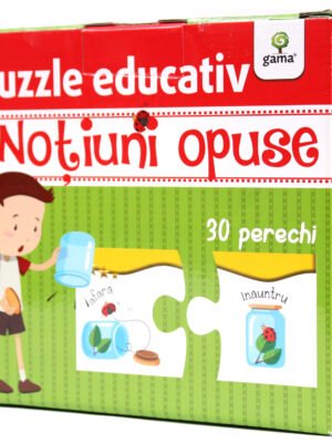 Noțiuni opuse