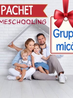 Pachet Homeschooling Grupa mică