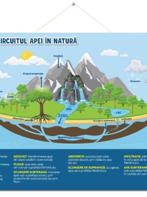 Circuitul apei in natură
