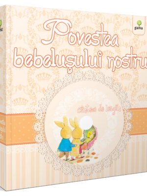 Povestea bebeluşului nostru