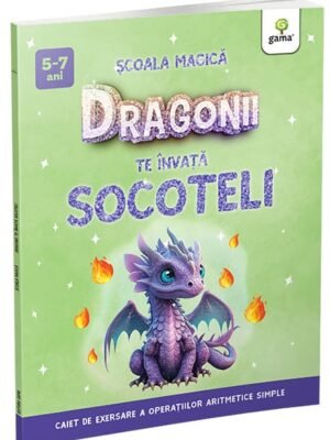 Dragonii te învață SOCOTELI