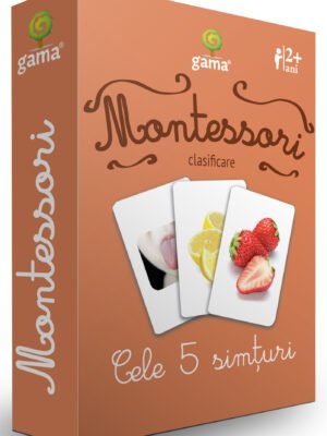 Cele 5 simțuri