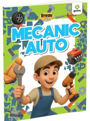 Mecanic auto
