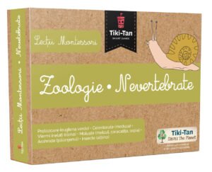 Lecții Montessori - Zoologie • Nevertebrate