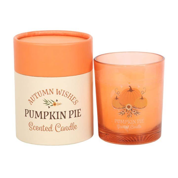 autumn wishes pumpkin pie candle autumn wishes pumpkin pie candle